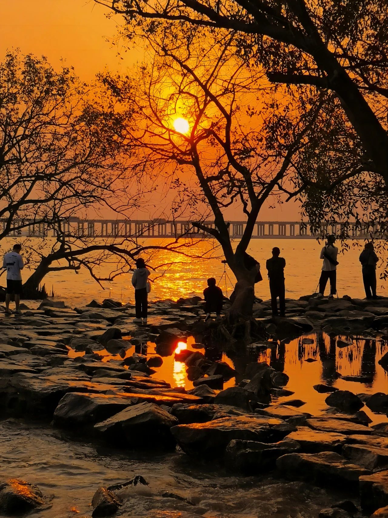 go to Xiban Mangrove to see the sunset on the sea.